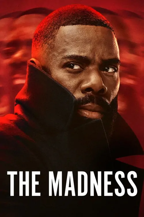 The Madness afişi